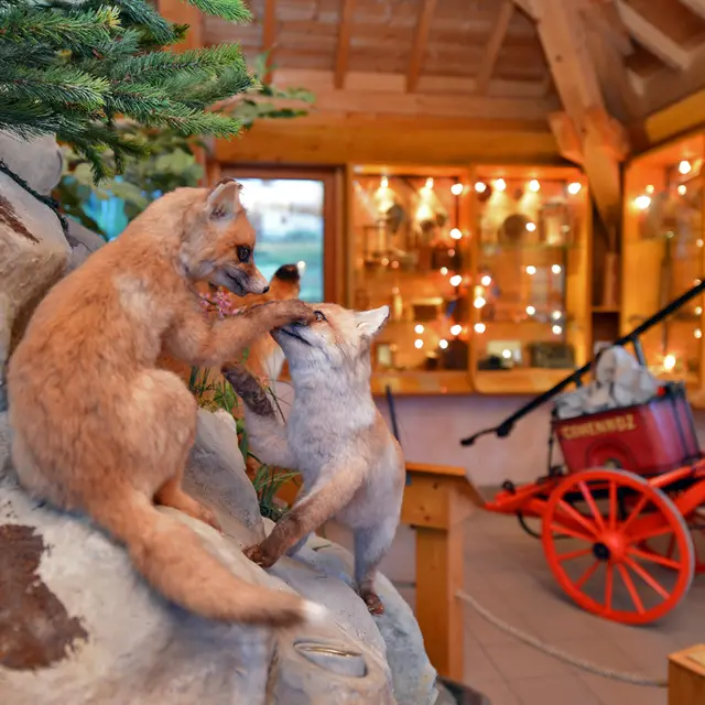 Eco-musée de Cohennoz