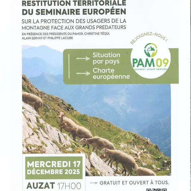 Restitution Territoriale du séminaire Européen_Auzat