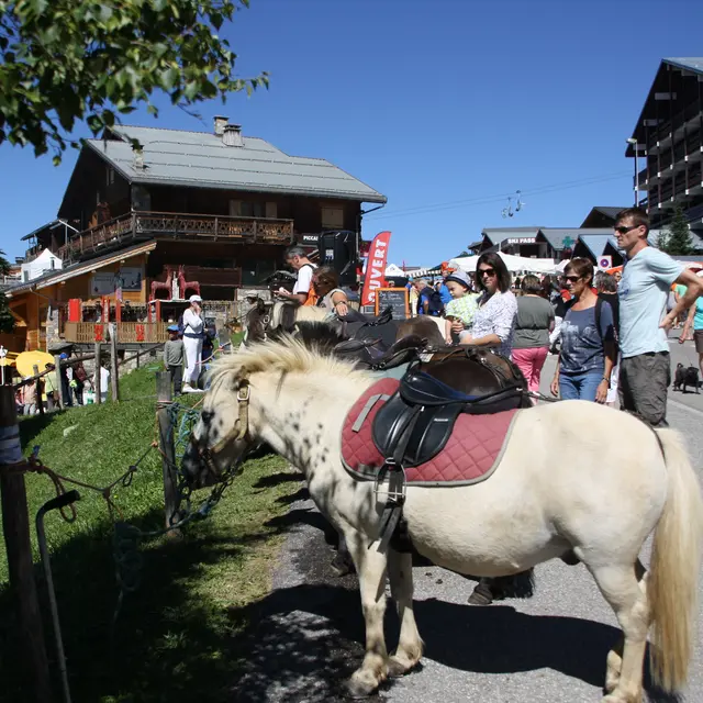 balade-poney-savoie