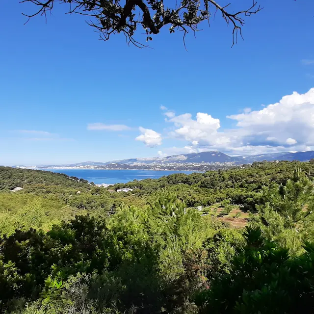 Sortie Plantes & self défense