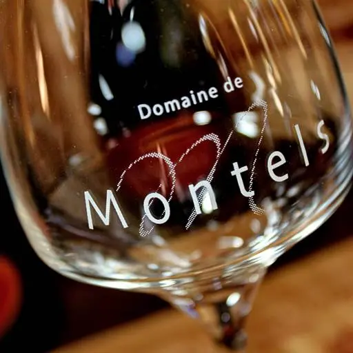 DOMAINE MONTELS