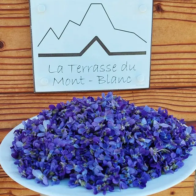 La Terrasse du Mont-Blanc_Onnion