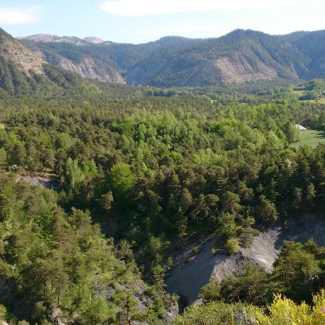 Les gorges de la Blanche