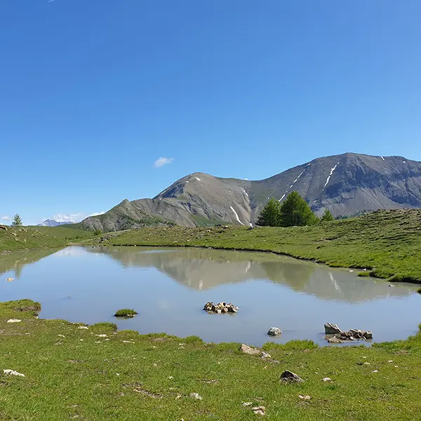 Etendue d'eau située dans une prairie d'altitude. Montagnes en arrière-plan