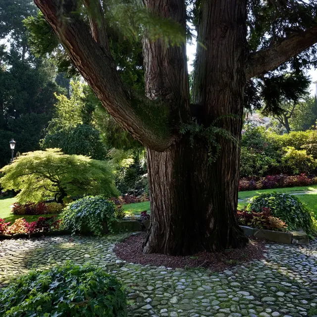 Evian parcs et jardins_Évian-les-Bains