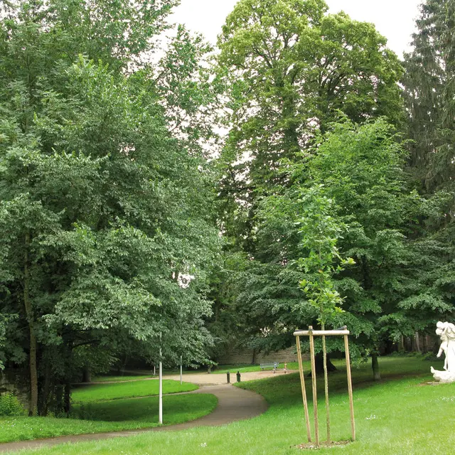 Parc Visitation_ Crédit OT Bourg-en-Bresse (8)-lt