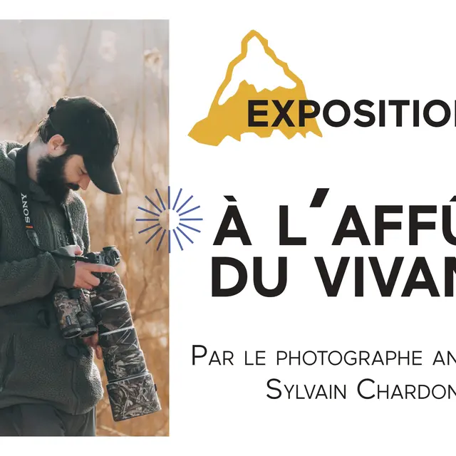 Exposition : A l'affût du vivant_Le Grand-Bornand