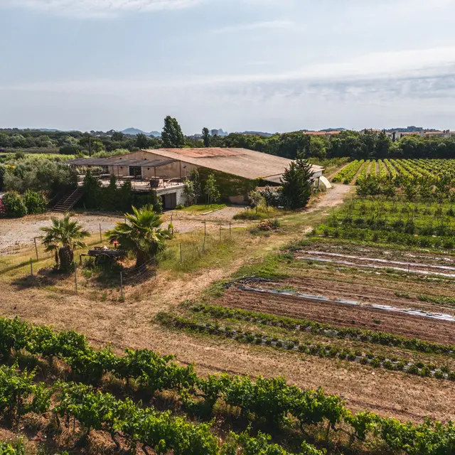 Domaine Le Jas des Oliviers_Fréjus