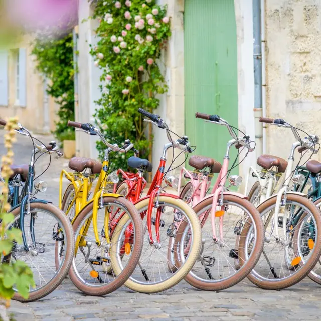 Nos vélos colorés