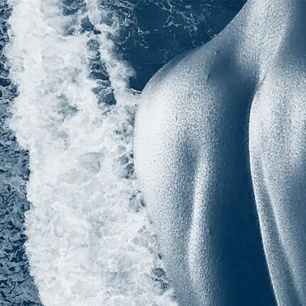 Submersion_Nice