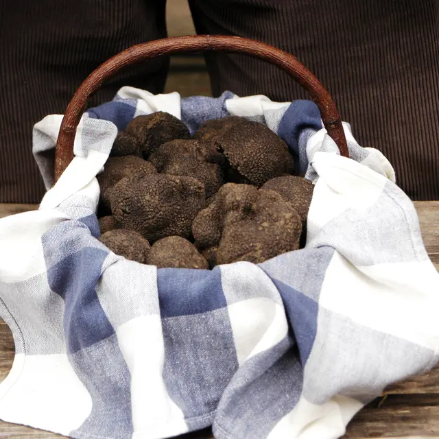 Marchés aux truffes Villages & Vallées d'Azur_Valbonne