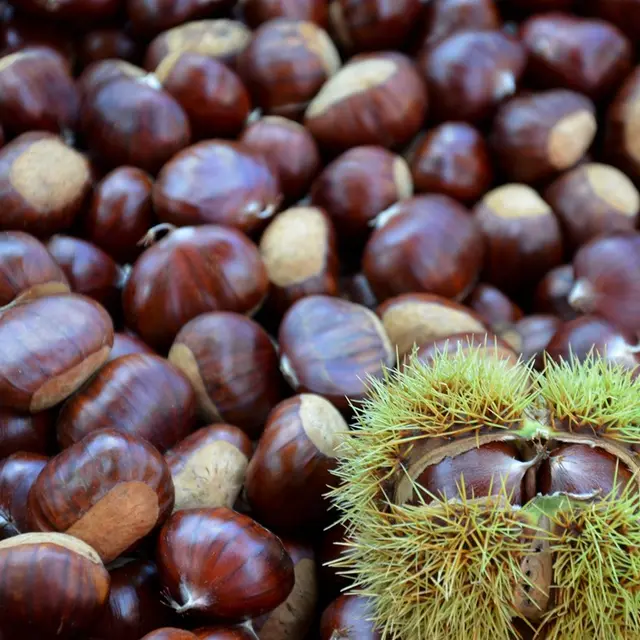 Fête de la Châtaigne et de l'artisanat_Laguépie