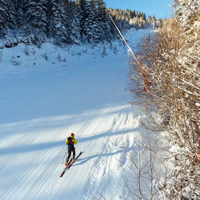 Hiver2023CharlesRIPON-7.jpg