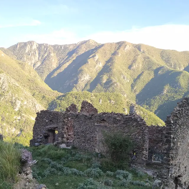 Vue sur l'Arpette depuis Paspus
