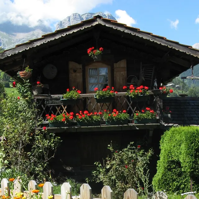 Patrimoine express_Cordon