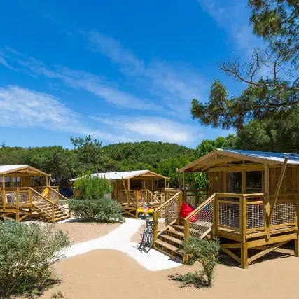 SweetFlower premium - 2 chambres