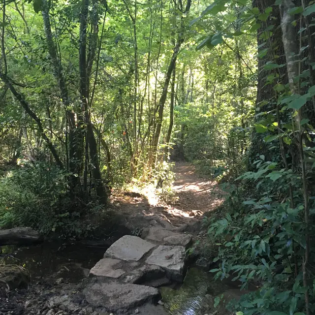 Sentier