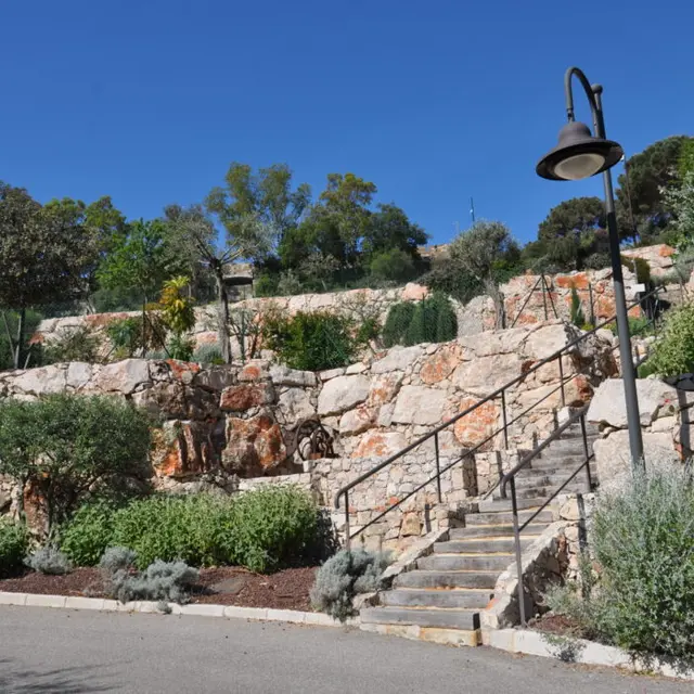 Parking Saint-François P2_Bormes-les-Mimosas