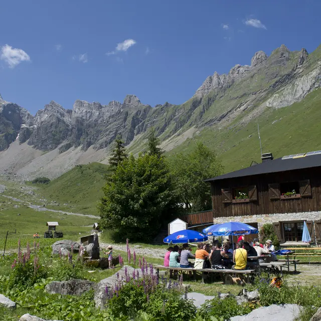 Sentier du Gypaète - Alpage de Doran