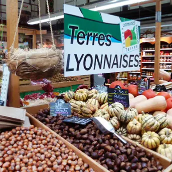 Terres Lyonnaise