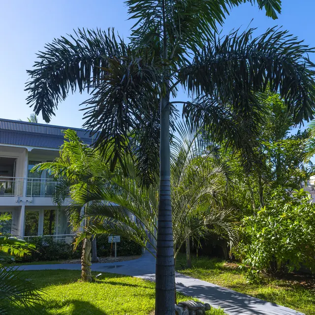 Hôtel Beaurivage - Nouméa