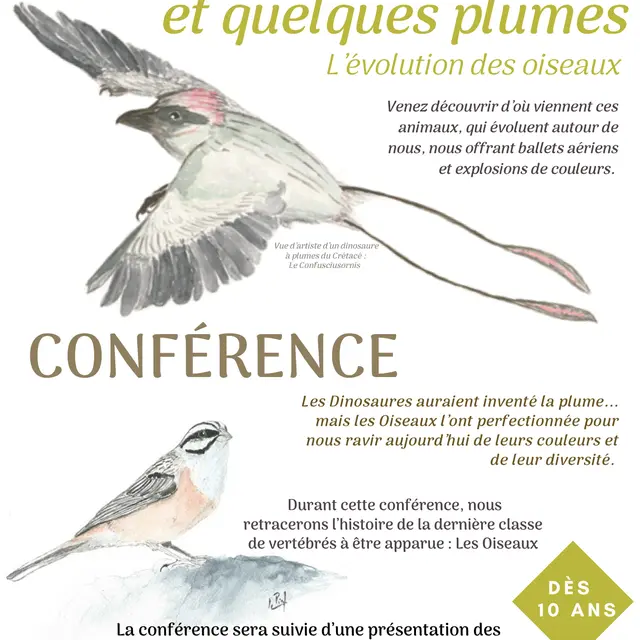 Conférence : Oiseaux, piafs et quelques plumes… L’évolution des oiseaux_Dévoluy