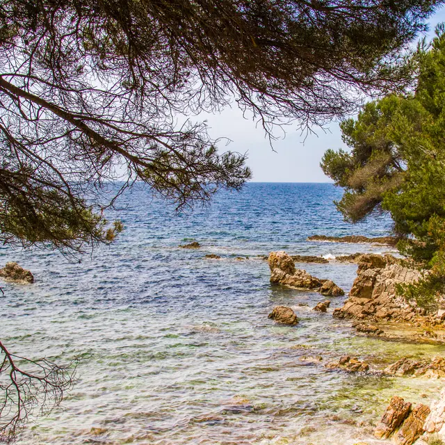 Plages autorisées aux chiens - île Sainte-Marguerite_Cannes
