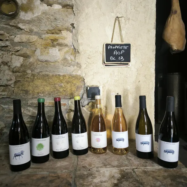 Domaine de Capelude àCollobrières