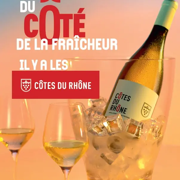 Atelier École des Vins - Cap fraicheur en Côtes du Rhône_Avignon
