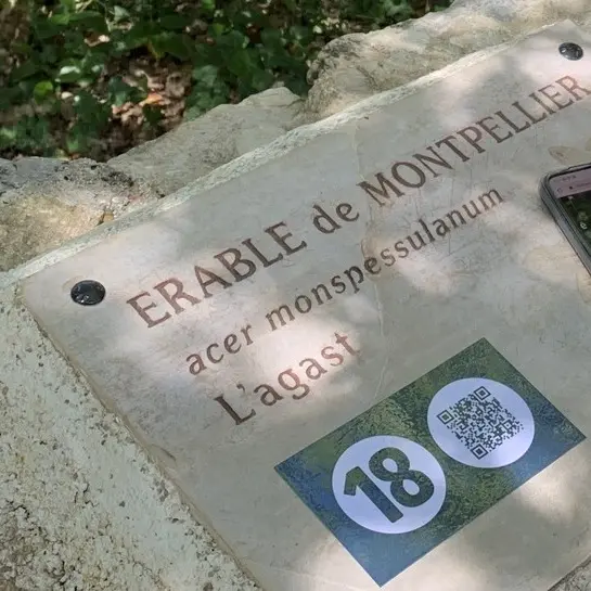 brignoles_sentier_botanique