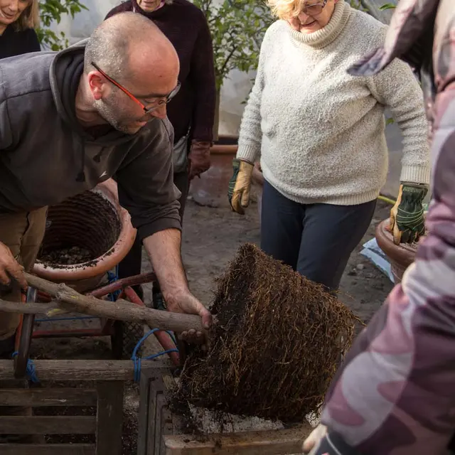 Dimanche au jardin : le printemps_Villeneuve-lez-Avignon