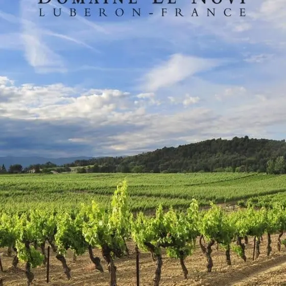 Domaine Le Novi