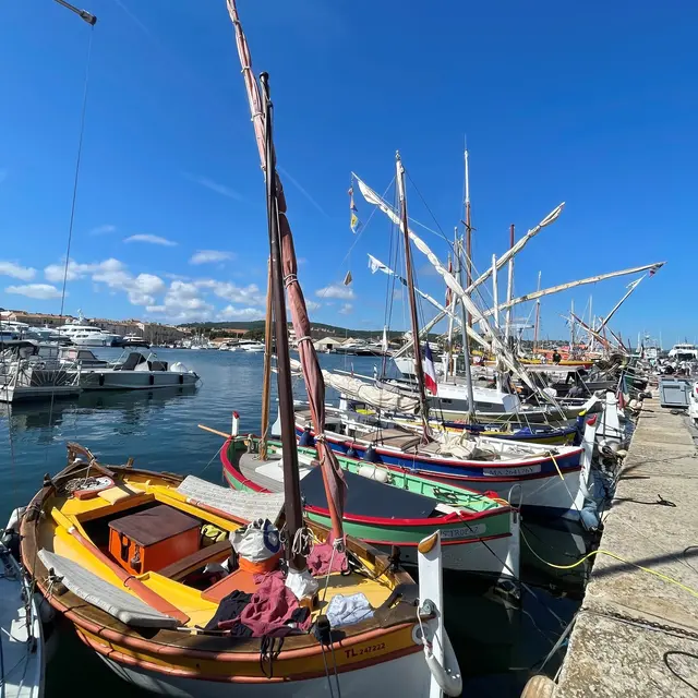 Voiles Latines_Saint-Tropez