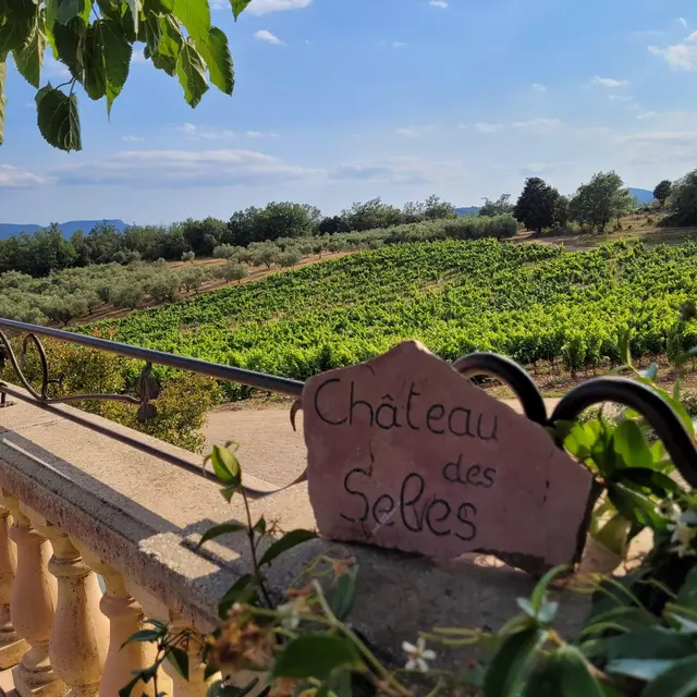 Domaine des Selves