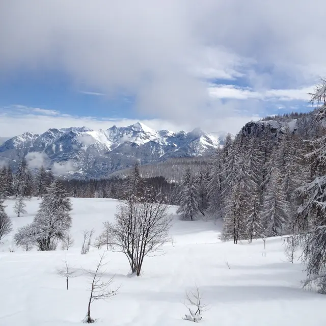 les grands alpages de la cabane du Laus