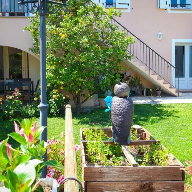 Chambre d'hôtes  à proximité du village de Biot_Biot