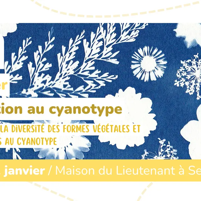 Atelier - Initiation au cyanotype_Servoz