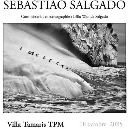 Exposition photographique de Sebastião Salgado Genesis_La Seyne-sur-Mer