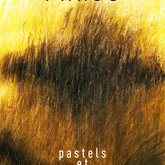 Dans la lumière du vent