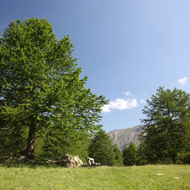 Boucle du Grand Vallon - Itinéraire VTTAE_Les Orres