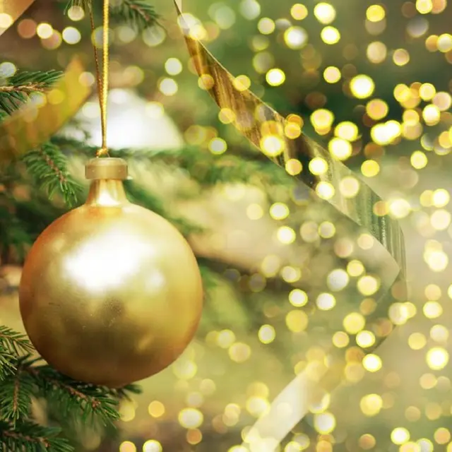 Lancement des illuminations de Noël