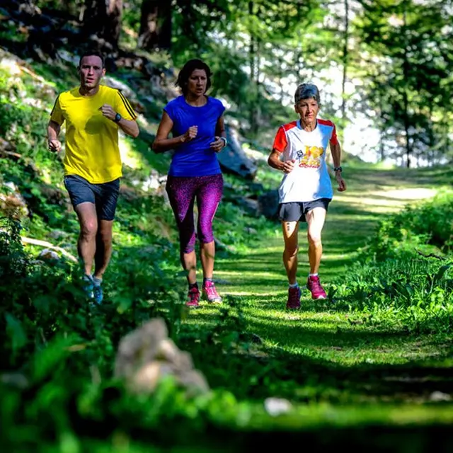 Trail - Le chemin du garde (vert)_Les Orres