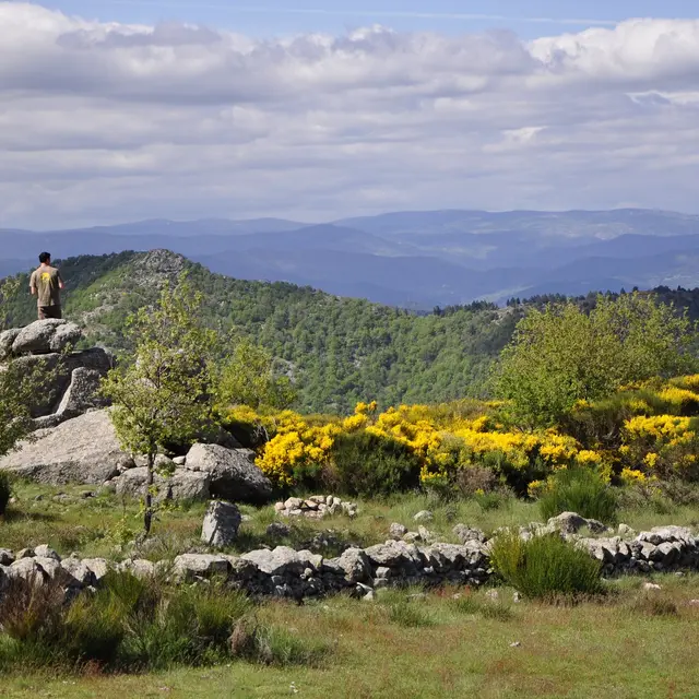 Reliefs et nature : randonnées pédestres_Thoiras-Corbès