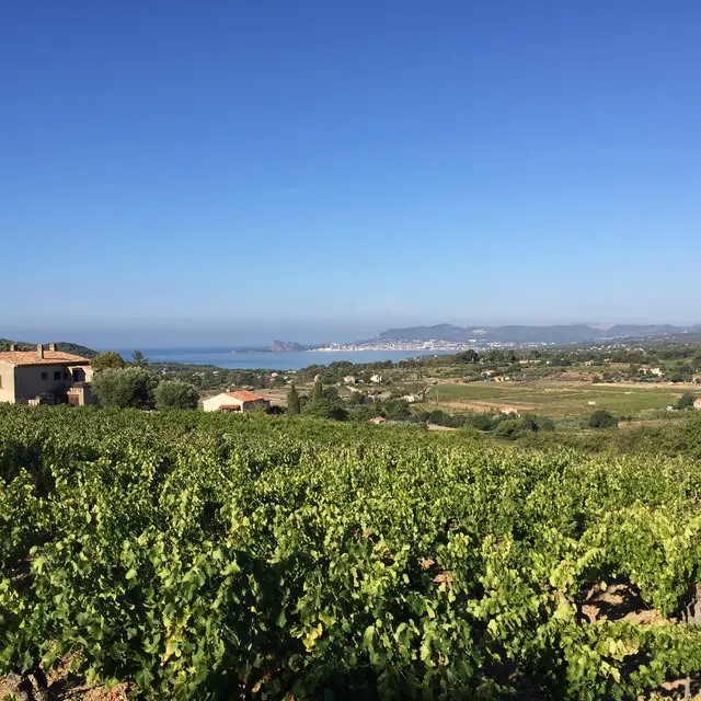Balade Fontanieu-Pibarnon-St Côme