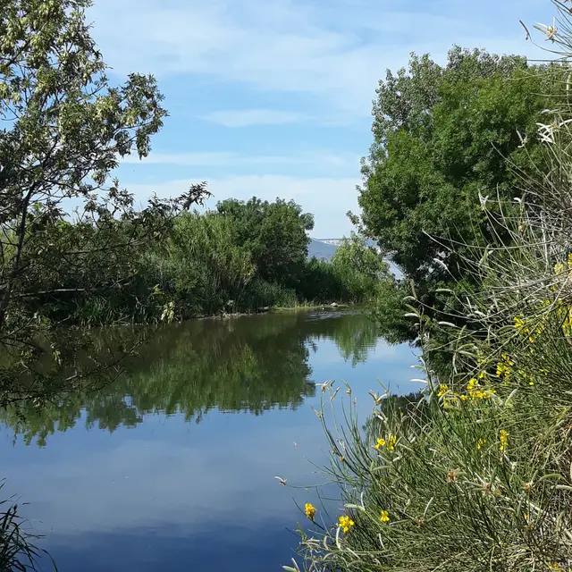 Randonnée commentée