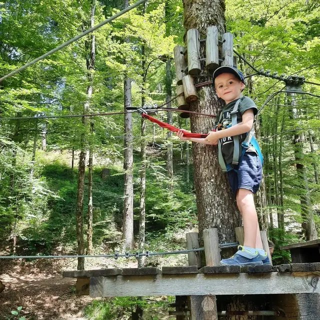 Sécurisé en ligne de vie continue