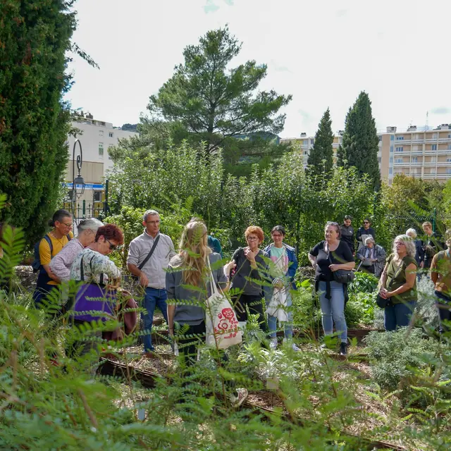 Visites du jardin ethnobotanique