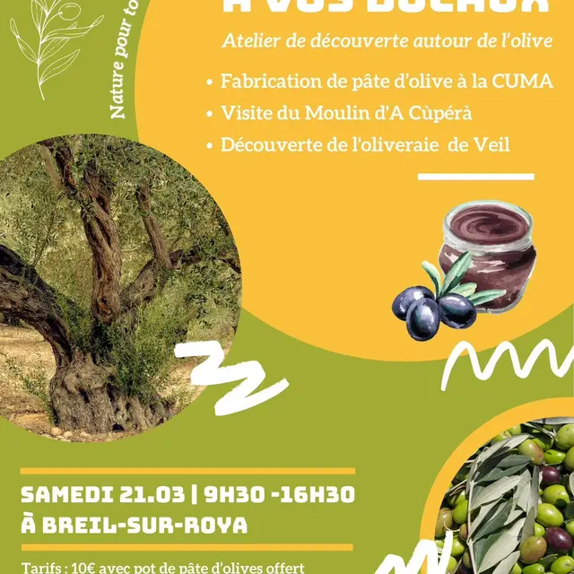Rendez-vous de l'olive avec Curieux de Nature_Breil-sur-Roya