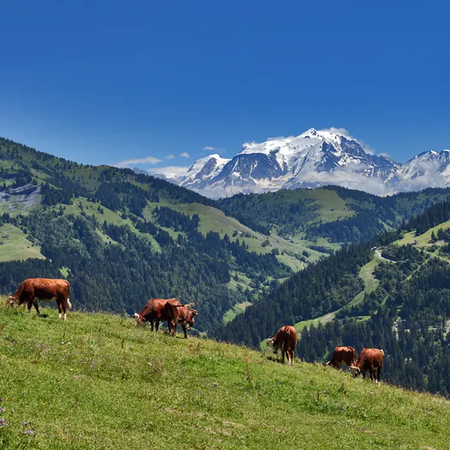 Alpage du Mégevan