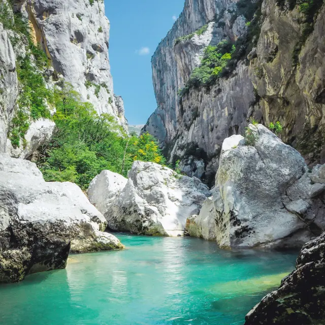 Aloha Verdon